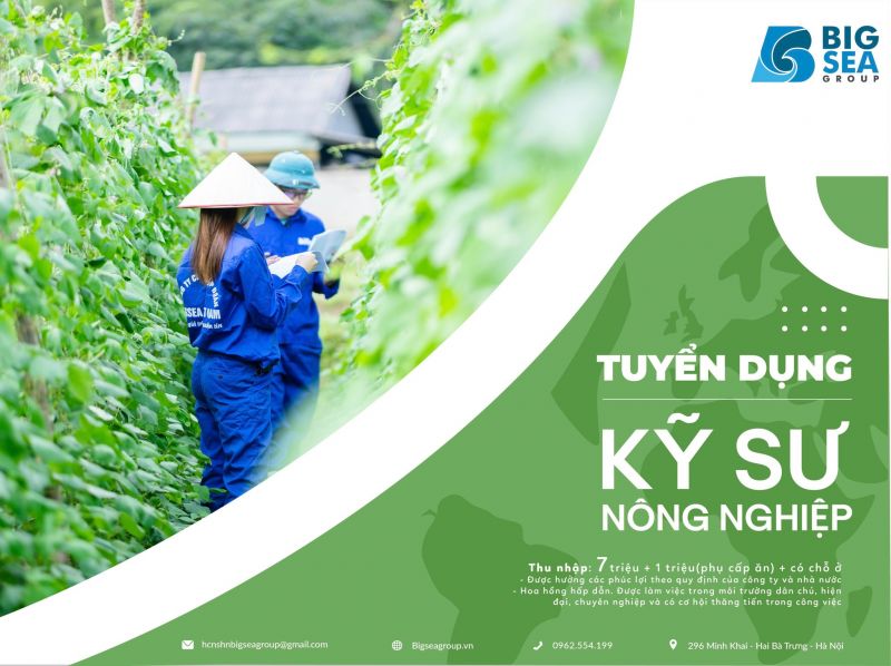 BIGSEAGROUP TUYỂN DỤNG KỸ SƯ NÔNG NGHIỆP