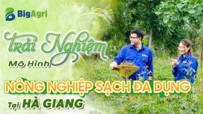 BIGAGRI TRẢI NGHIỆM MÔ HÌNH NÔNG SẢN SẠCH ĐA DỤNG TẠI HÀ GIANG