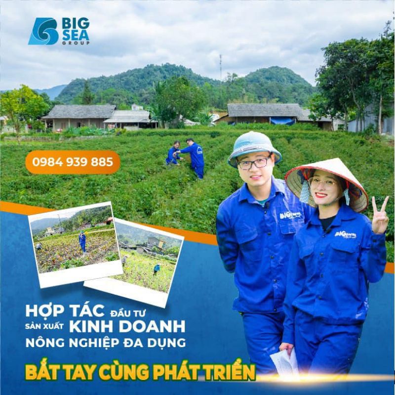 Hợp tác đầu tư kinh doanh bất động sản nông nghiệp đa dụng