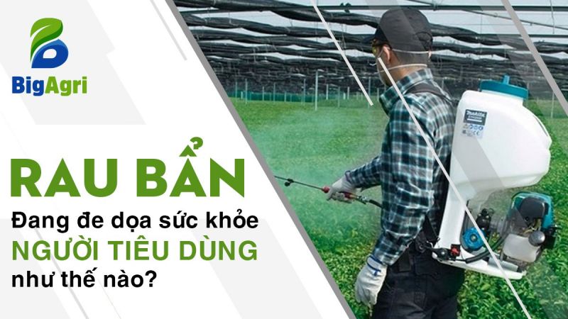 Rau bẩn đang đe dọa sức khỏe người tiêu dùng như thế nào?