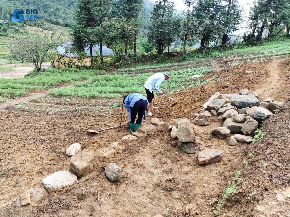 KHUNG CẢNH NGẬP TRÀN HOA TẠI SÀNH ĐANG DẦN HOÀN THIỆN