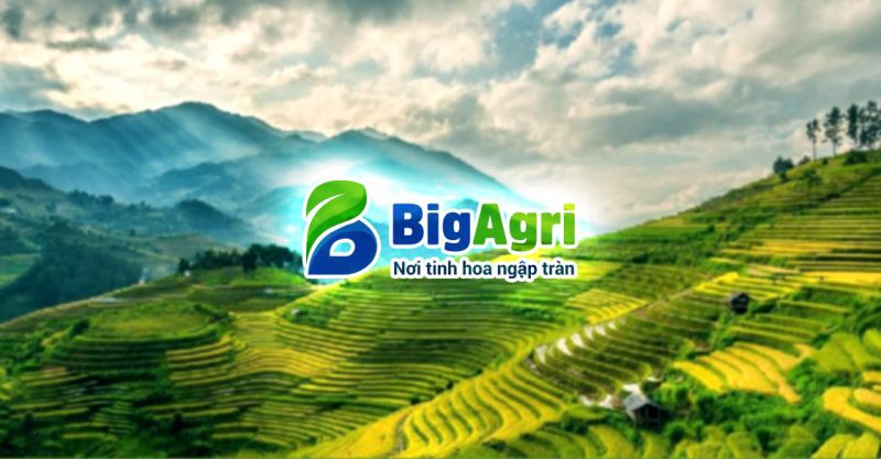 BIGSEAGROUP ĐỔI TÊN THƯƠNG HIỆU BIGFARM THÀNH BIGAGRI