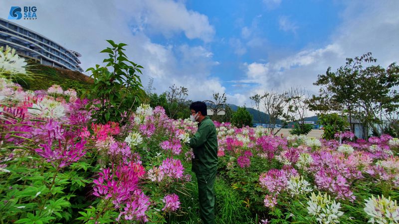 BÀI CA YÊU NGHỀ!