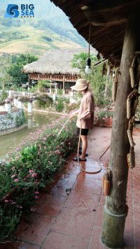 BUỔI LÀM VIỆC CỦA NHỮNG CHÚ ONG THỢ CHĂM CHỈ TẠI SÀNH HOMESTAY